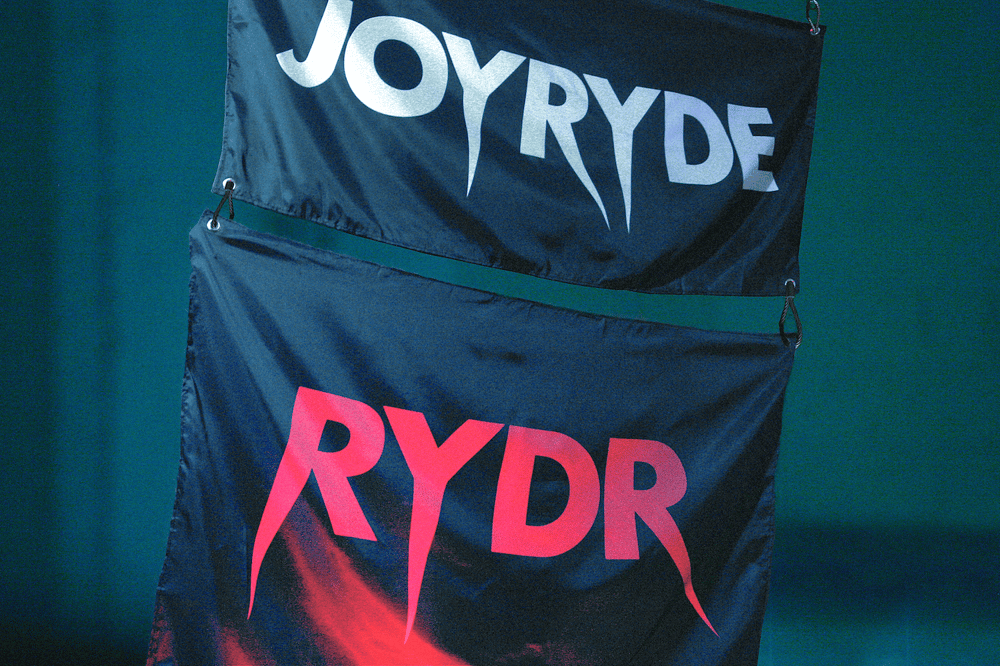 Image of SPIKE FLAGS