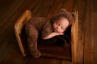 Image 5 of Beary Furry Cubby