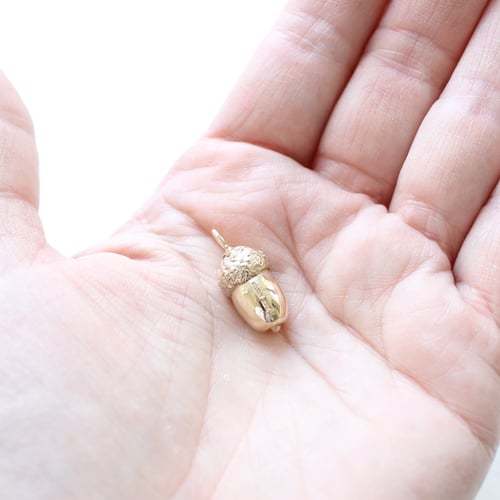 Image of 9ct Gold acorn necklace
