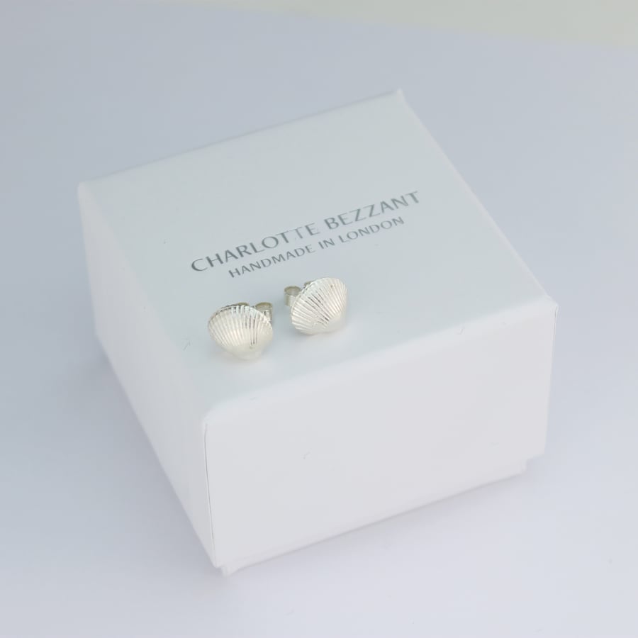 Image of silver shell earrings, cockle shell stud earrings