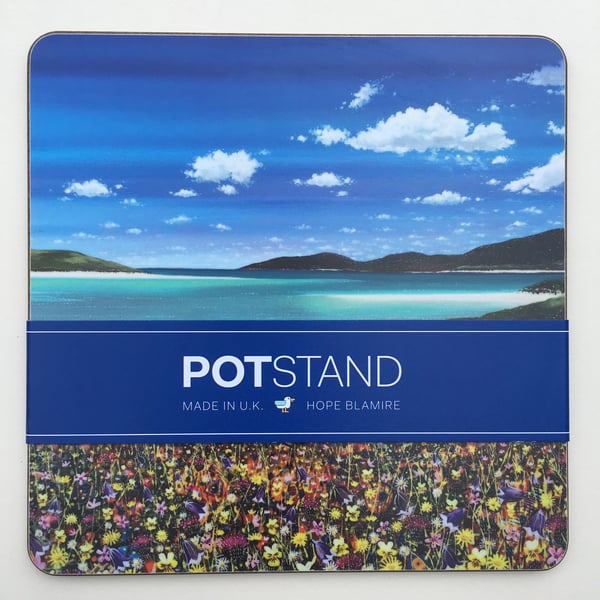 Image of Luskentyre wildflowers potstand