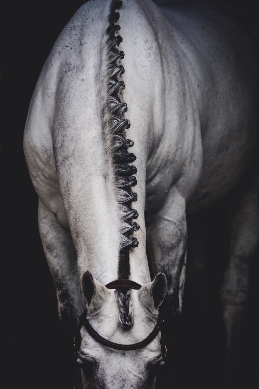 Image of Cojay in Plaits
