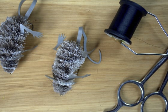Image of Small Grey/White Mouse
