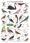 A-Z Australian Birds