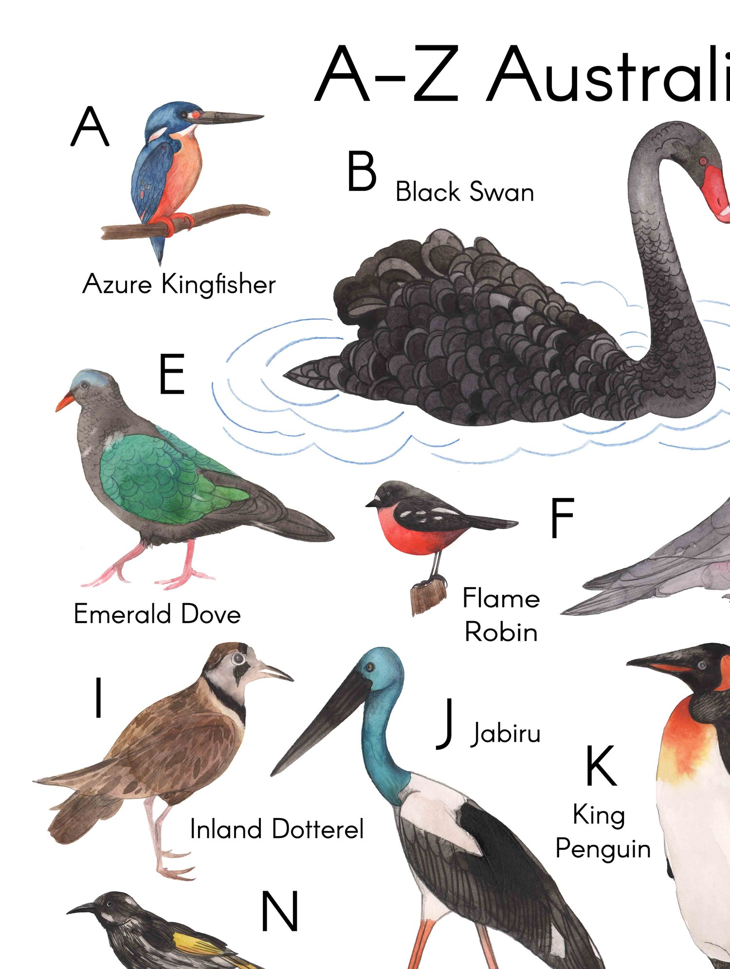 Image of A-Z Australian Birds
