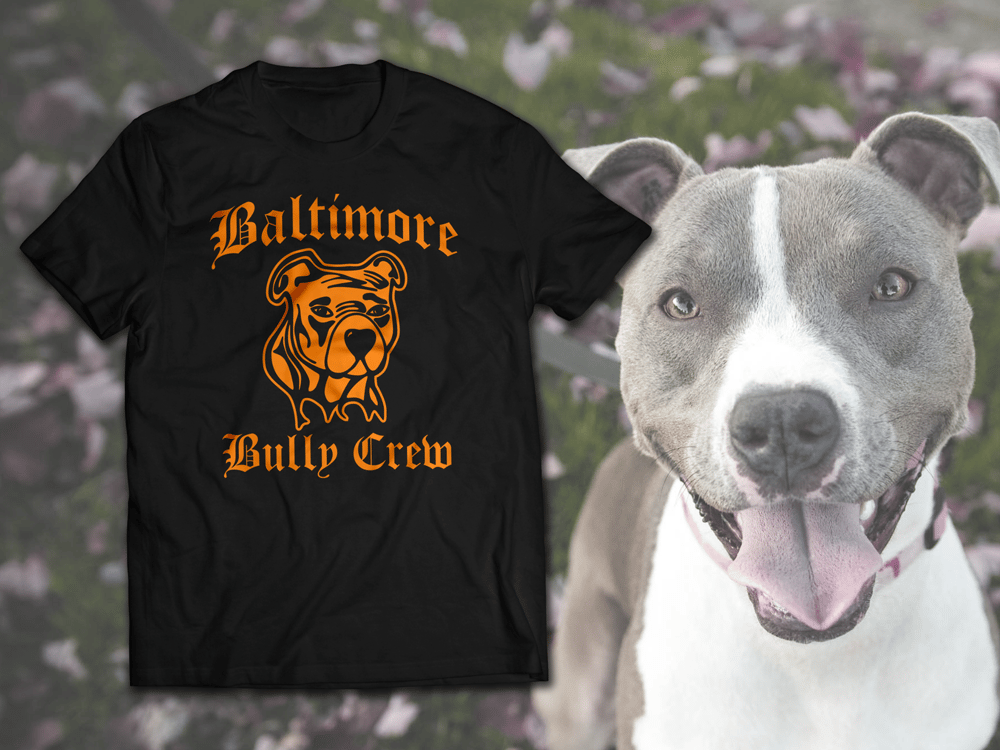 Image of Baltimore Bully Crew Orange on Black