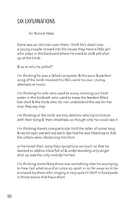 Image 4 of Anthem for the Wounded by M.A. Vizsolyi