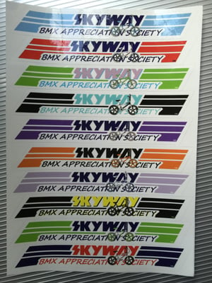 Image of Skyway Appreciation 10 Sticker Sheet