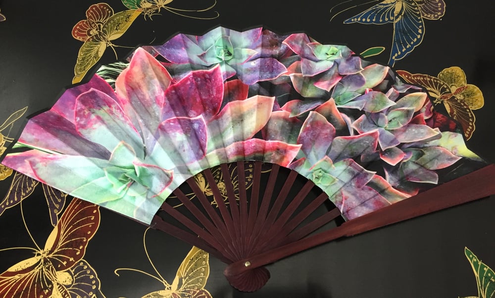 Image of Echeveria Succulents Folding Fan 