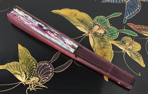 Image of Echeveria Succulents Folding Fan