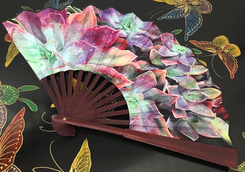 Image of Echeveria Succulents Folding Fan