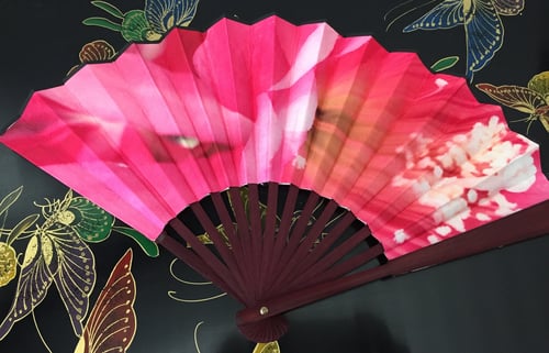 Image of Pink Catus Flower Folding Fan