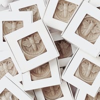 Image 1 of Bee Bar Soap 