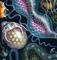 Image 5 of MICROVERSE V - 17 X 17"  Signed  Edition