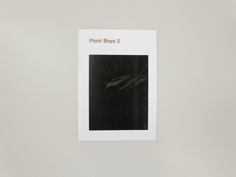 Image of Plant Boys 2