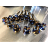 TiBurnt Titanium Cusco Cage Bolts
