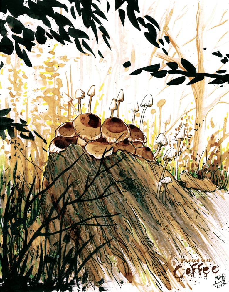 Image of north dakota fungus 
