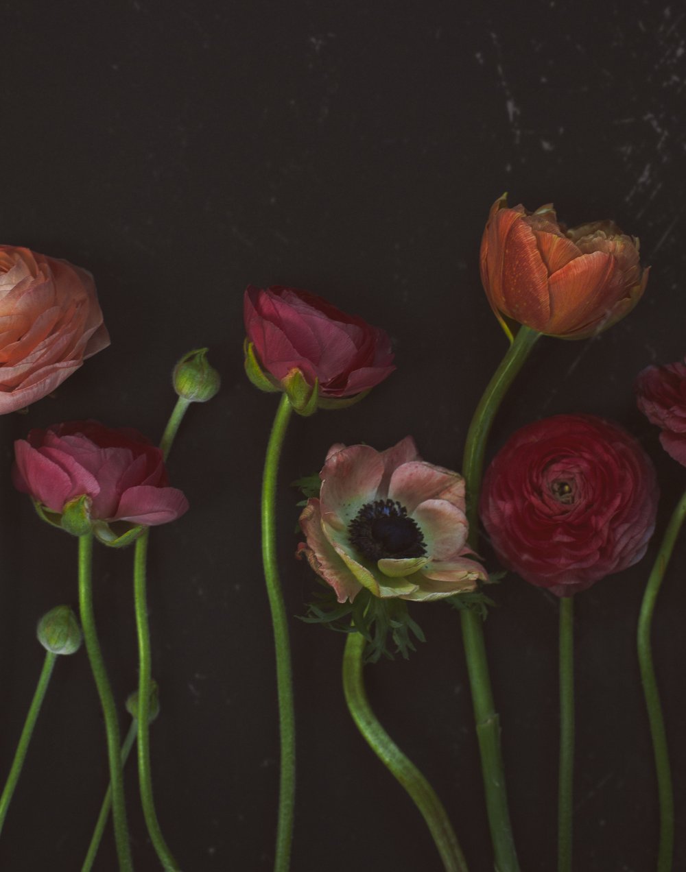 Image of Day 27 - Large Format Print