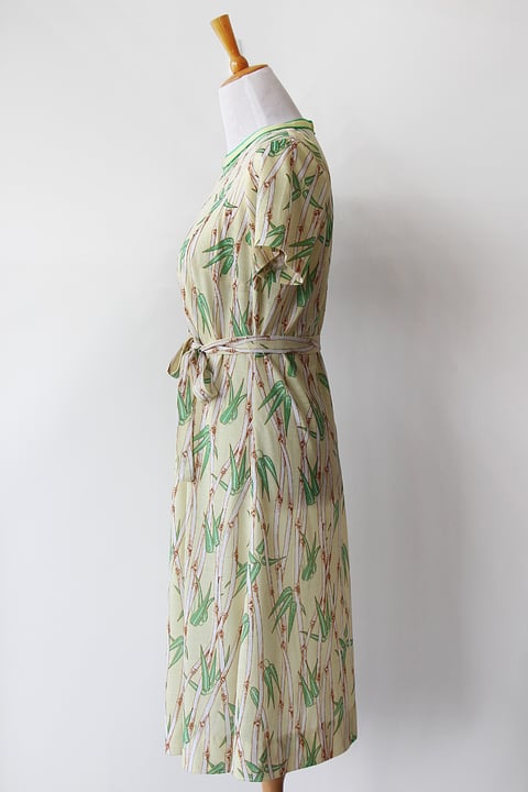 Image of SOLD Bamboo Forest Dress