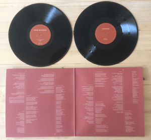 Image of Radiation 2xLP (black)