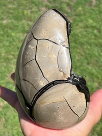 Image 7 of Septarian Nodule Polished Freeform With Calcite Inclusions| Madagascar #2899