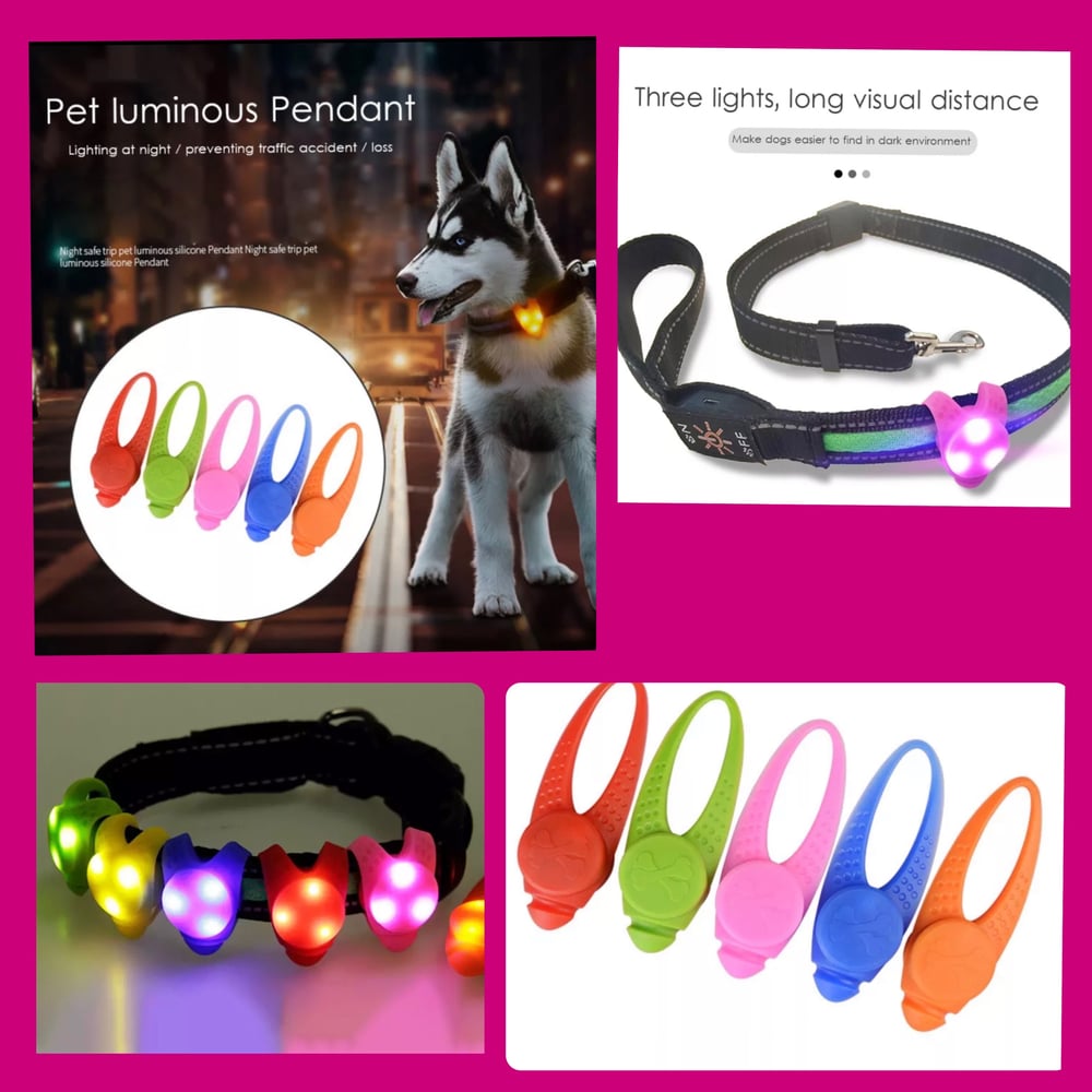 Image of LED Pet Pendant