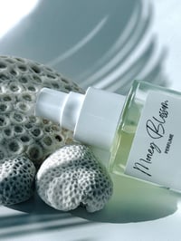 Image 2 of PERFUME MONEY BLOSSOM 