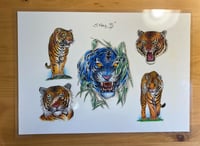 Image 1 of Steve Paul Flash Vintage 1996 Tigers