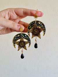 🌙🌟Moonlit Stapelias🌟🌙