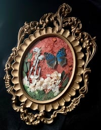 Image 1 of Blue Buckeye Butterfly Botanical Frame