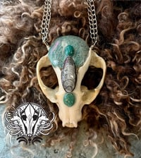 Image 3 of Partial Raccoon Skull Statement Necklace w/ Amazonite, Chrysocolla, Orthoceras, & Aventurine accents