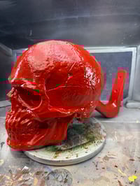 Image 1 of Campaign hat Skull Mount 