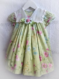 Rare Editions 2Years