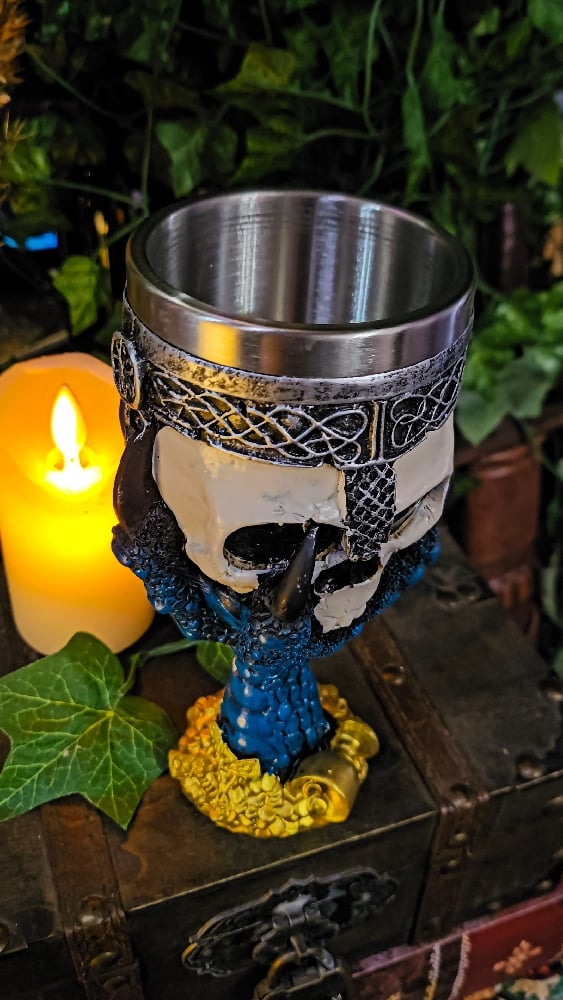 ๐The Armored Kingdom Dracogrip Relic Skull Goblet