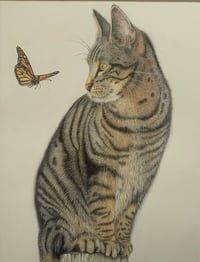 Image 2 of "The Watcher", Large Tabby Cat with Butterfly Framed Original 