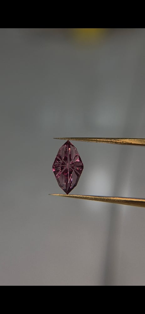 Image of Dragonfly Rose Garnet
