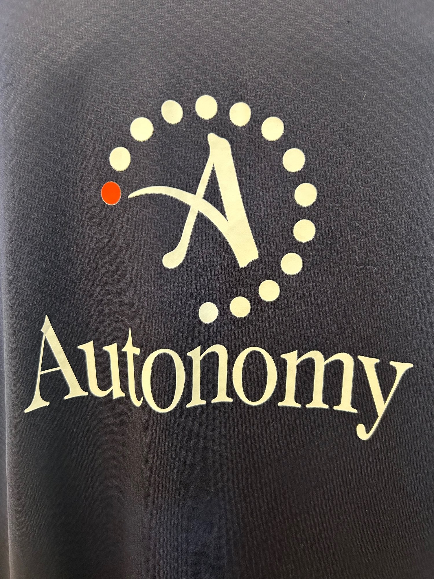 Image of Tottenham Hotspur “MODRIĆ 14” 2010/11 Third Shirt + PL patches (L)