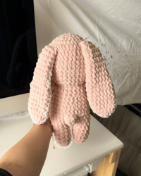 Image 3 of bunny (new)