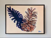 Image 1 of Loblolly Pine Cone #2