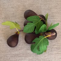 Image 2 of Black Mission Fig