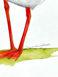 Image 3 of Seagull bird, original  coastal bird watercolor 