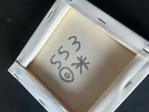 Image of SS3 canvas