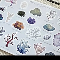 Image 2 of Marine Floras 🪸