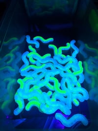 Image 1 of Random Colored TPU Gummy Worm Keychain
