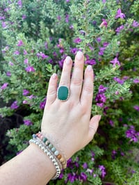 Image 1 of The Big Bud Ring (8.5)