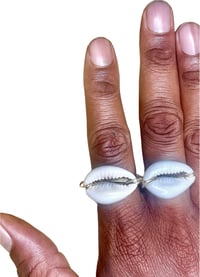 Image 3 of Cowry Knuckle Duster - Adjustable