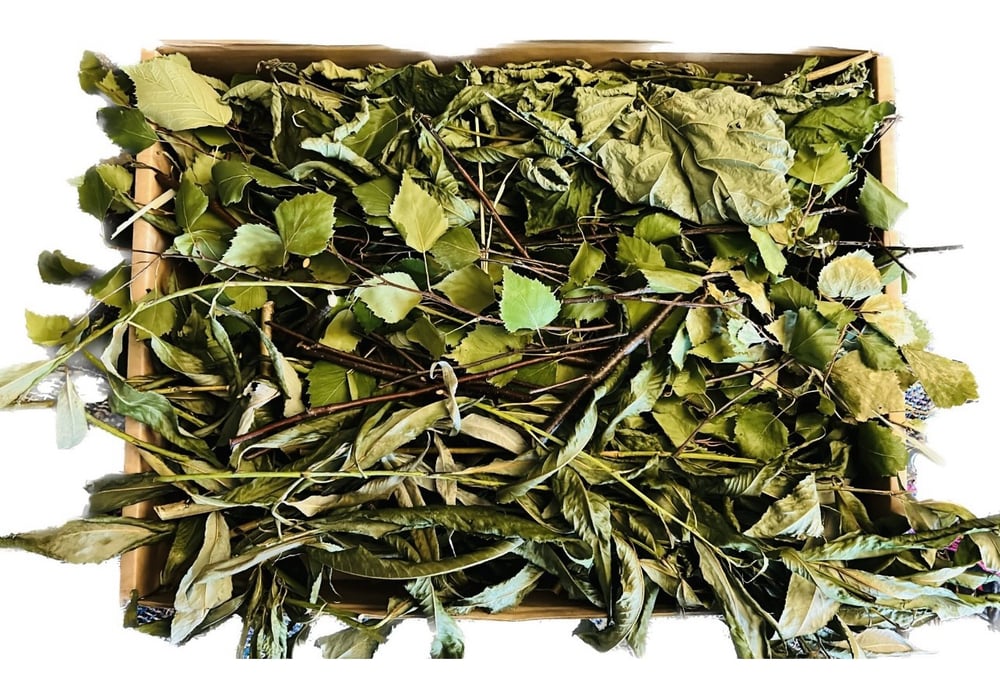 Image of Box of willow, hazel and birch branches and leaves