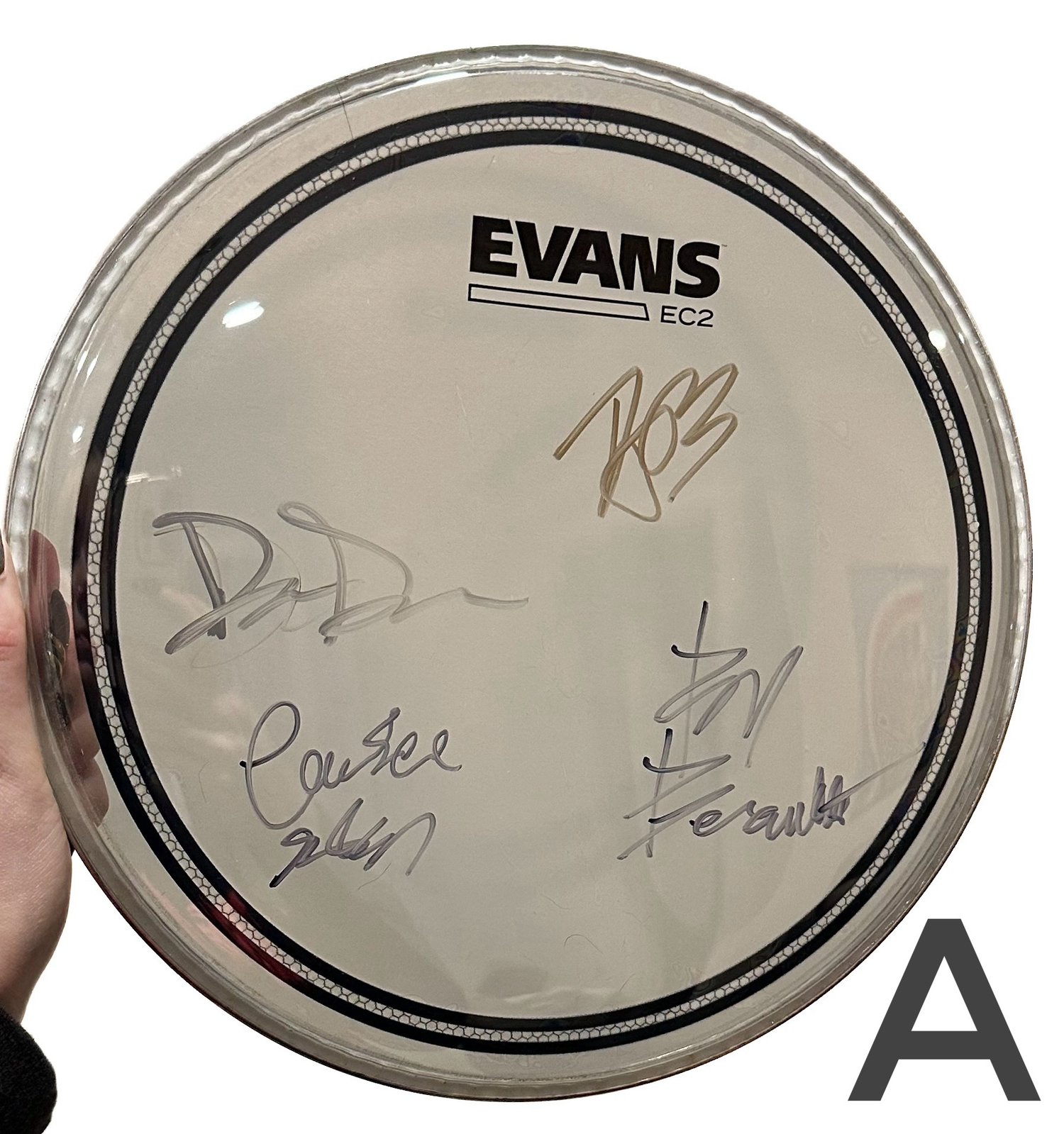 Signed Drum Heads | Renesans