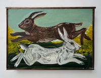 Boxing hares on the moors