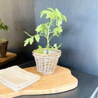 Image 3 of Herb Basket 